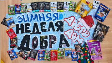 ЗИМНЯЯ НЕДЕЛЯ ДОБРА. АКЦИЯ "ДОБРОДОМ" ЗИМНЯЯ НЕДЕЛЯ ДОБРА. АКЦИЯ "ДОБРОДОМ".